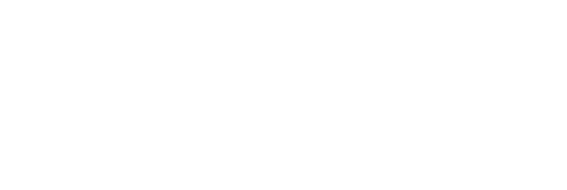 prodigi-white-logo